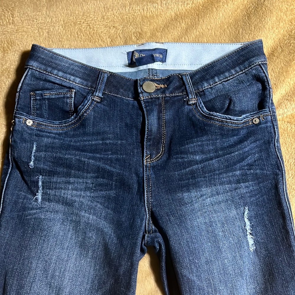 Democracy cropped flare size 2